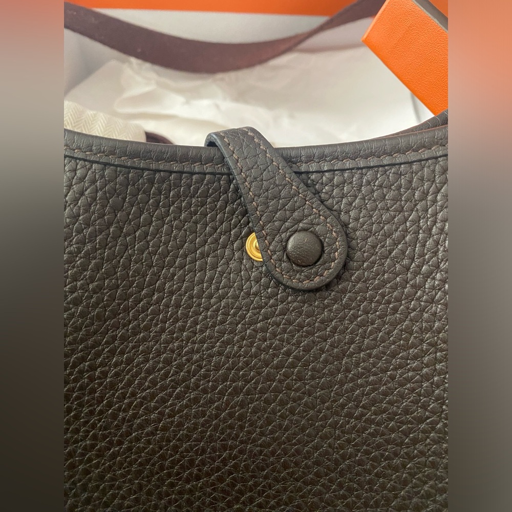 Hermes Mini Evelyne TPM 16 Bag Gold Hardware - Picture 4 of 12